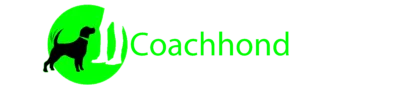Coachhond