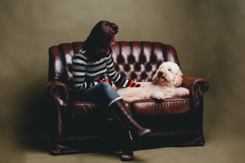 Therapiedieren