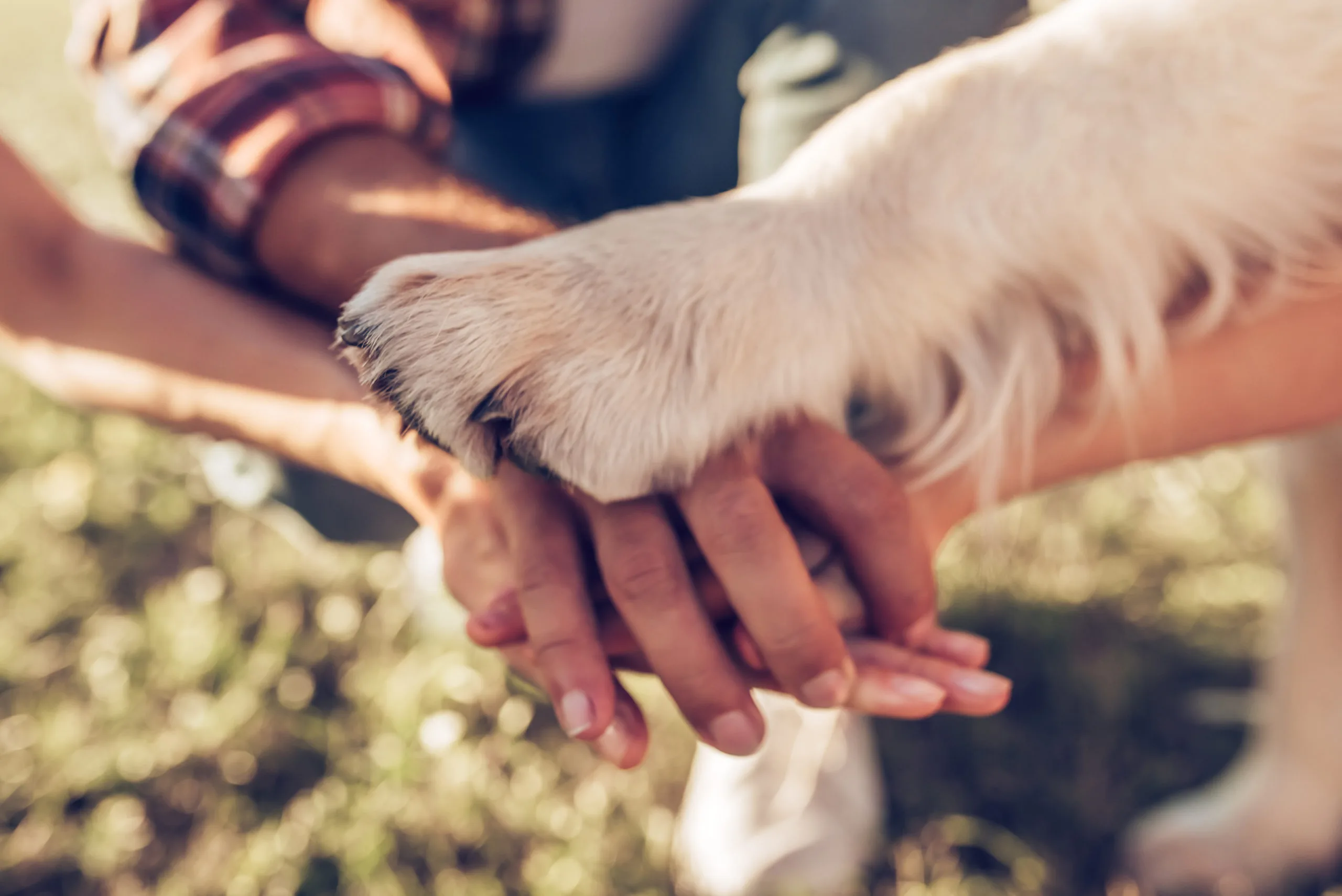 Samen sterk